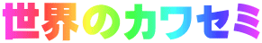 世界のカワセミ