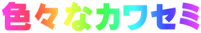 色々なカワセミ